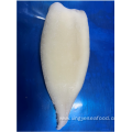 Frozen Squid Tubes Illex Argentinus IQF